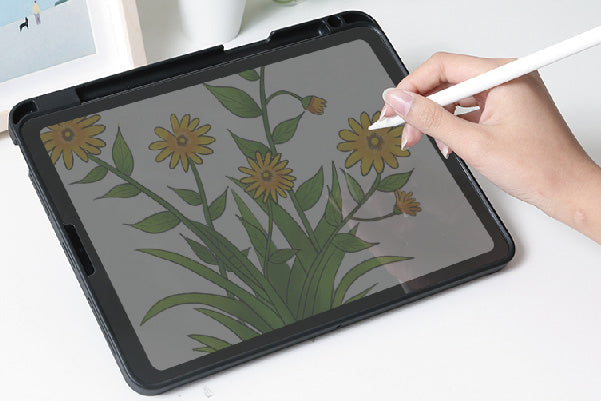 Provides Unparalleled Protection and Functionality for Your Precious iPad